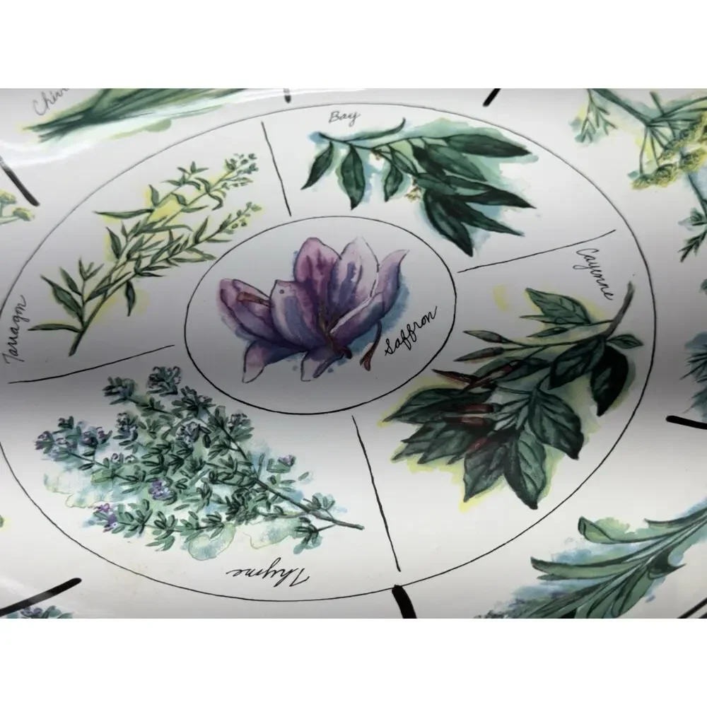 Williams Sonoma 13 in Pasta Serving Bowl Culinary Herb Spices Portugal WS024